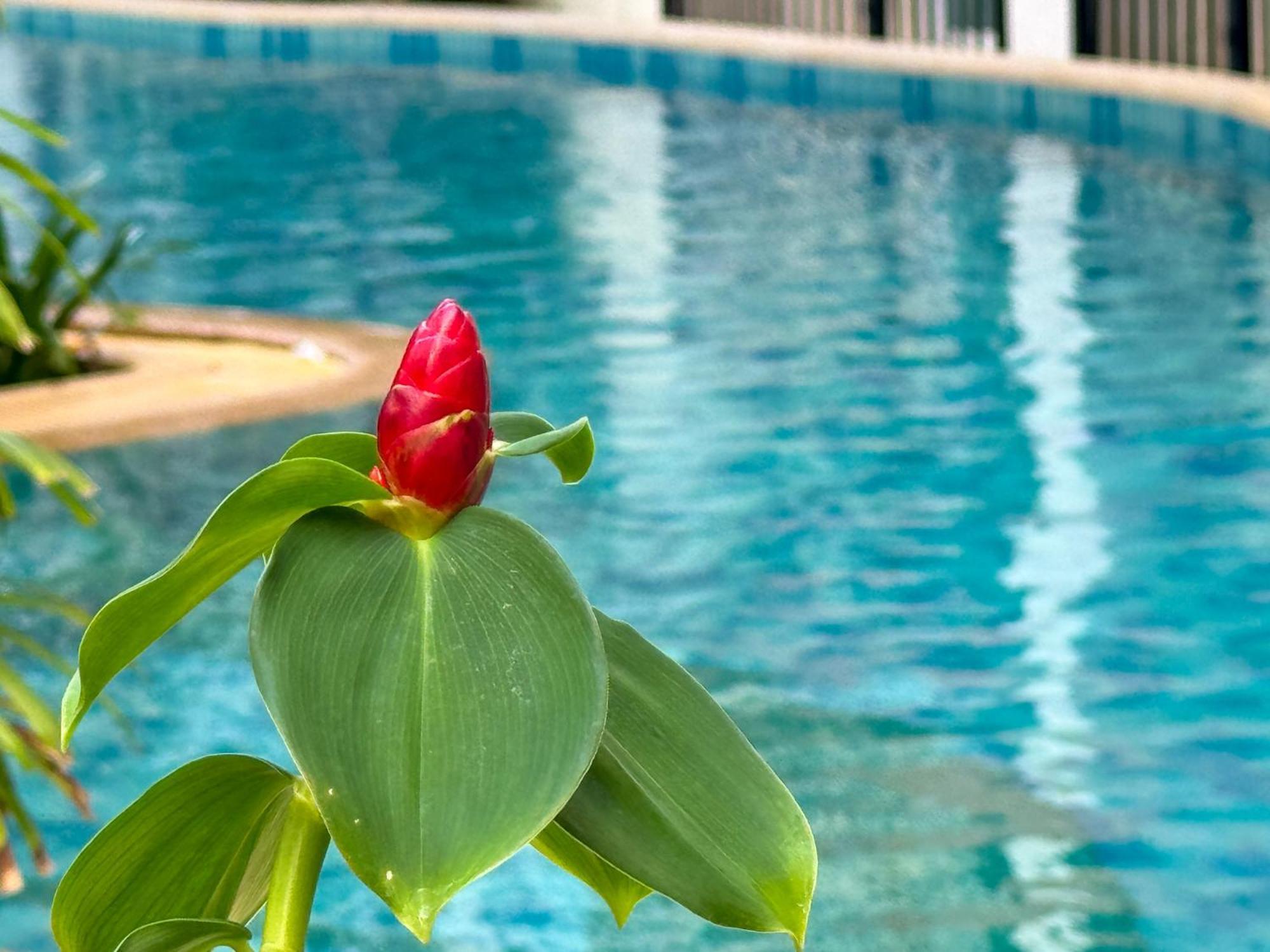 卧室直达泳池 全网最低价 到中天海滩5分钟 Jomtien Exterior foto